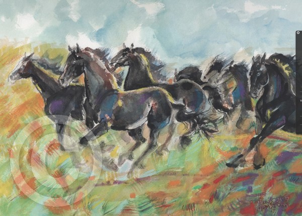 Fresians Running