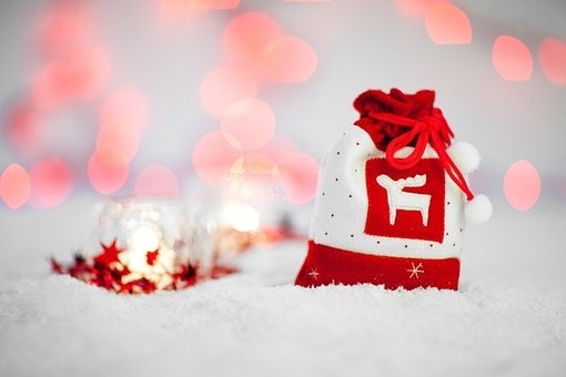christmas (13)