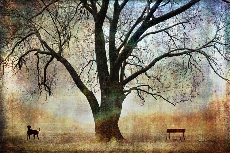 Balance and Harmony
