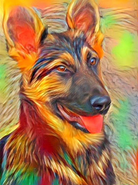 German shepperd,Alinka