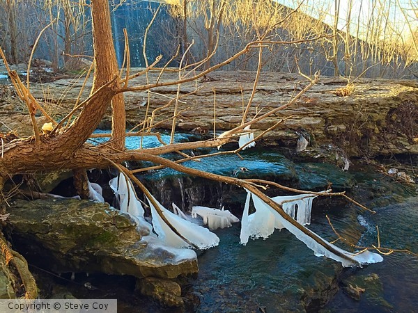Frozen Roots