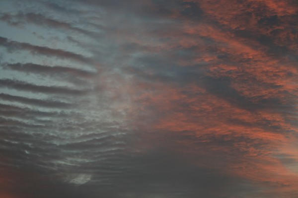 At the fingertips of dawn