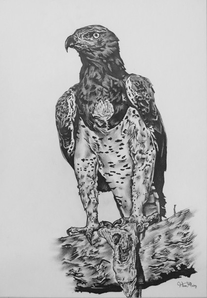 Eagles end