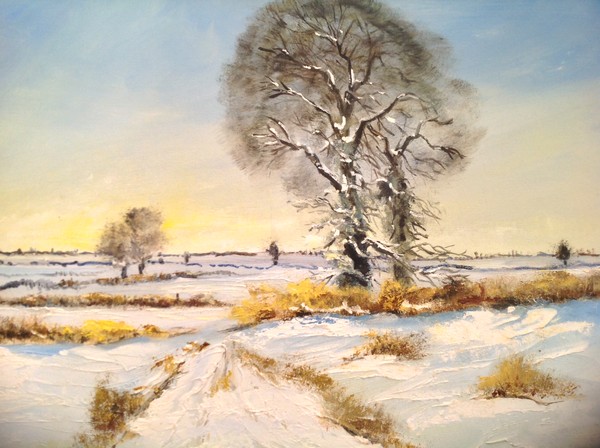 Frozen Oak