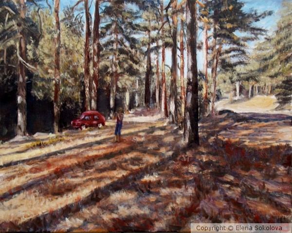Sunny forest