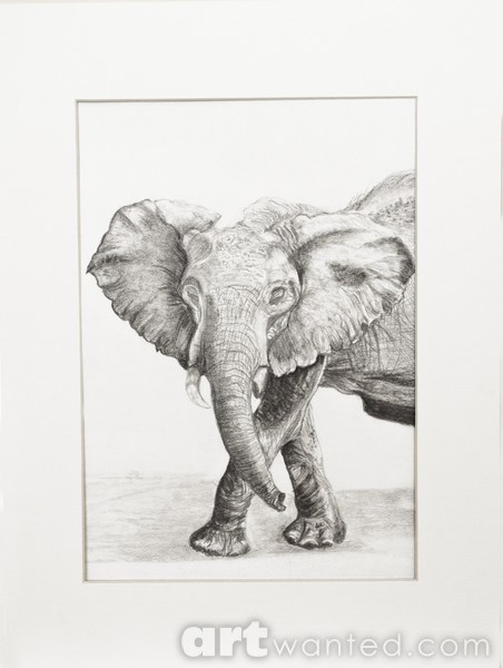 Watch Out for Elephants