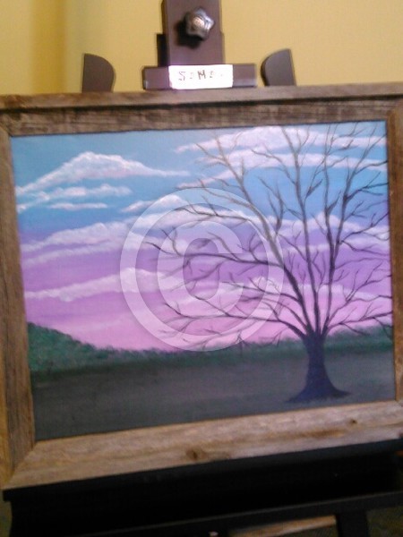 Sunset Tree