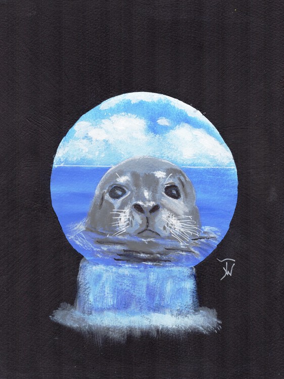 Nosey Seal