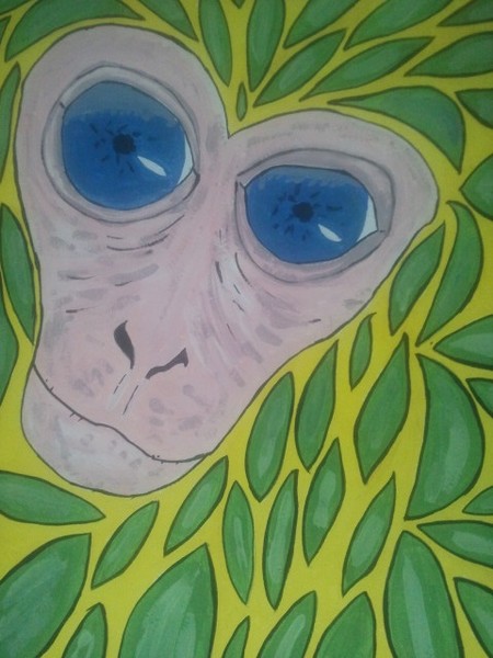 macaca mulatta portrait 
