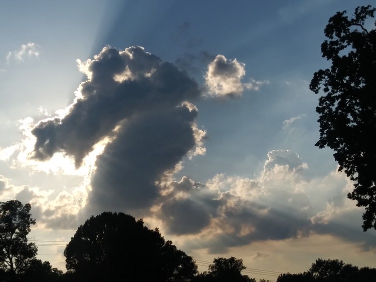 20190702 184412 HDR