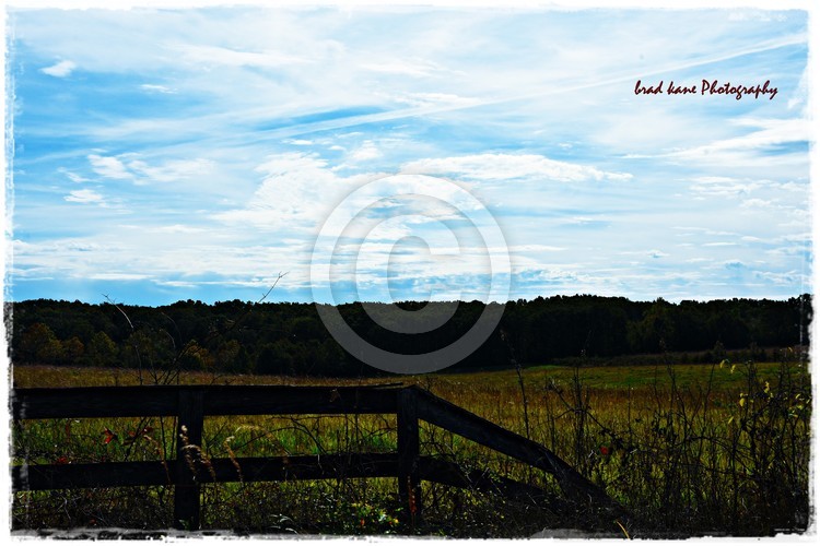 Fenced in Nature