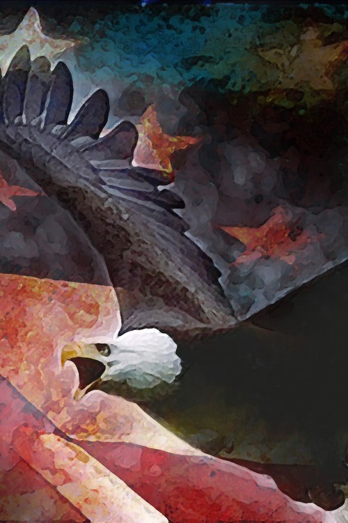 Patriotic Rustic Bald Eagle Poster
