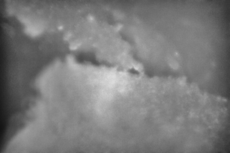 Macro  Space #4