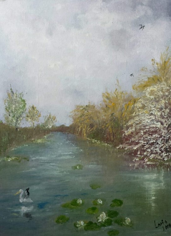 Water lilies breeze