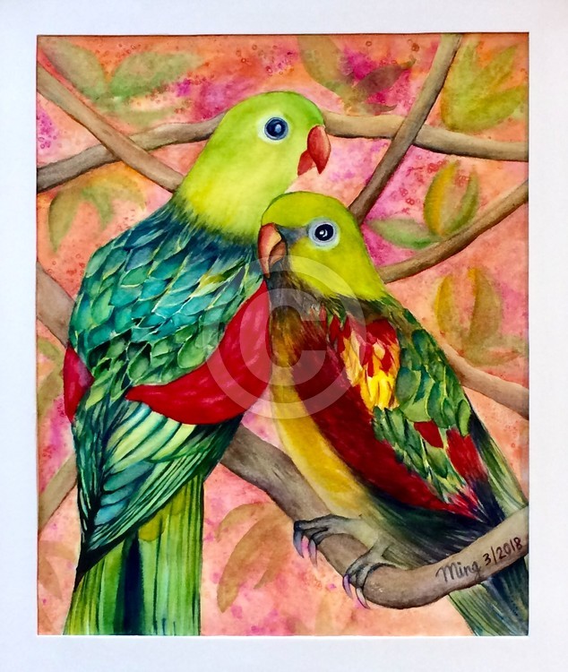 Love Birds 