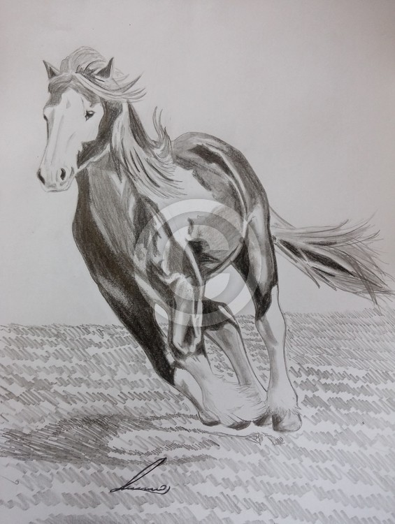 raiding hors
