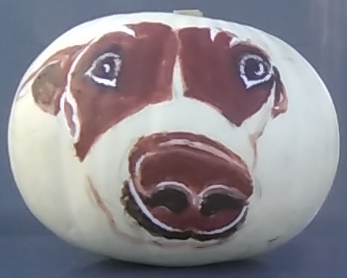 Scotty Pumpkin Painting