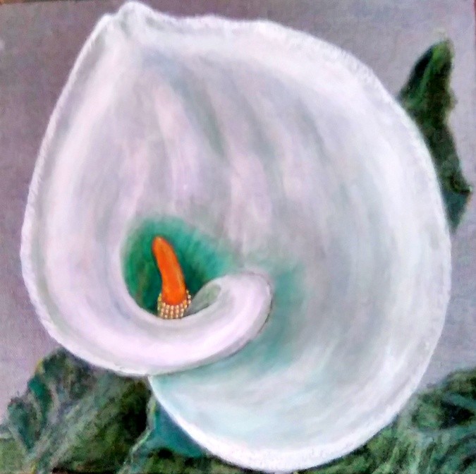 White Calla Lily Painting