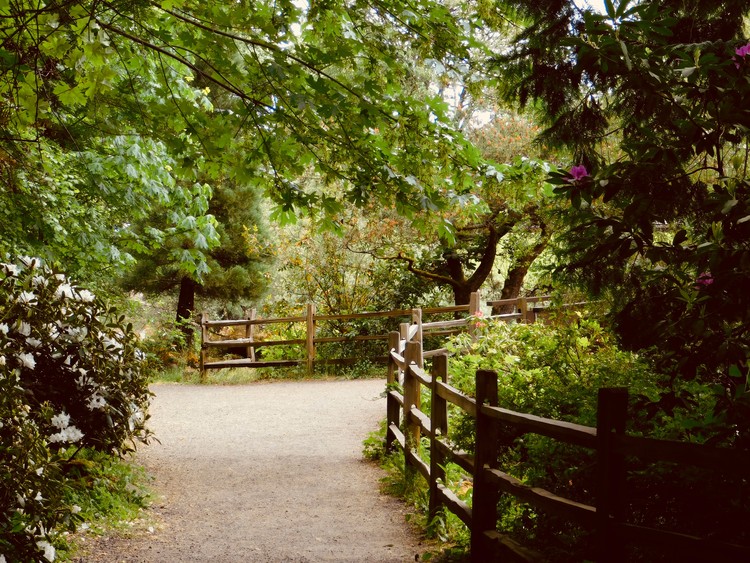 spring walk