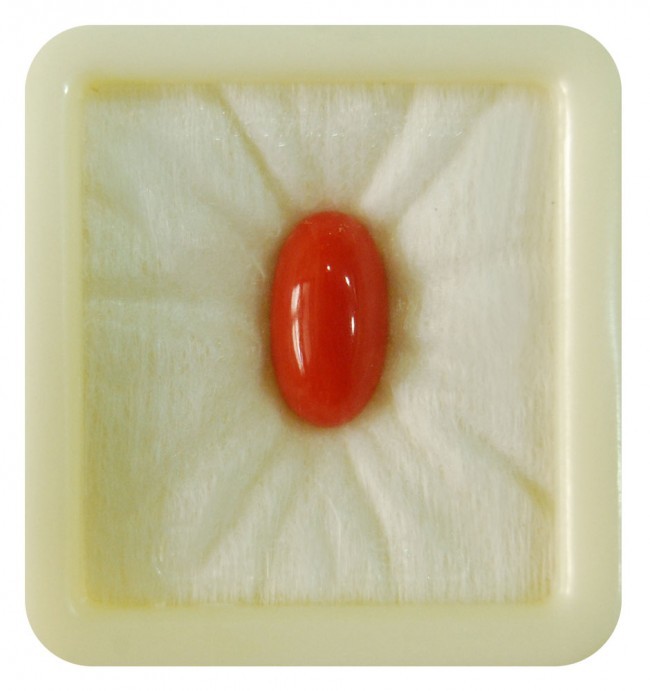 Coral 5ct