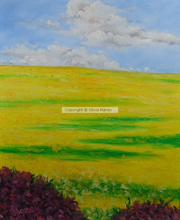 Canola at Cardiff Corner