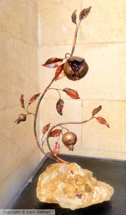Pomegranate 