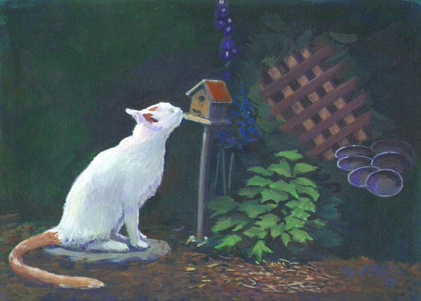 Cat House