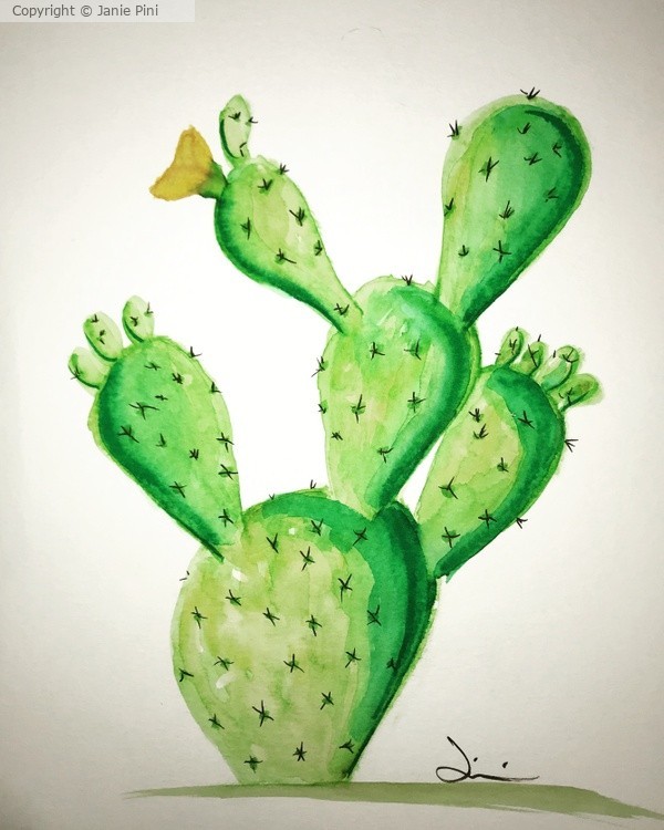 Prickly Pear Cactus