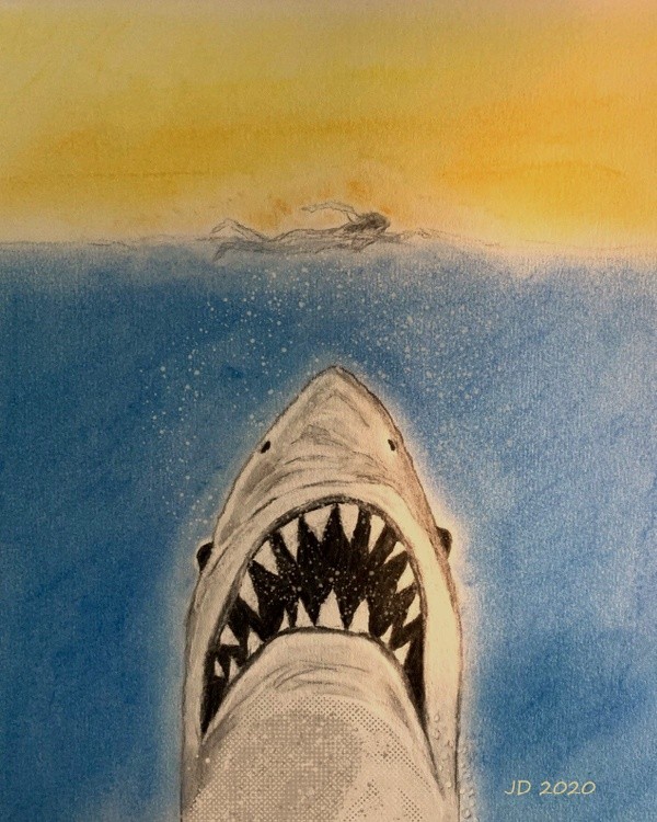 Shark 2020 3D