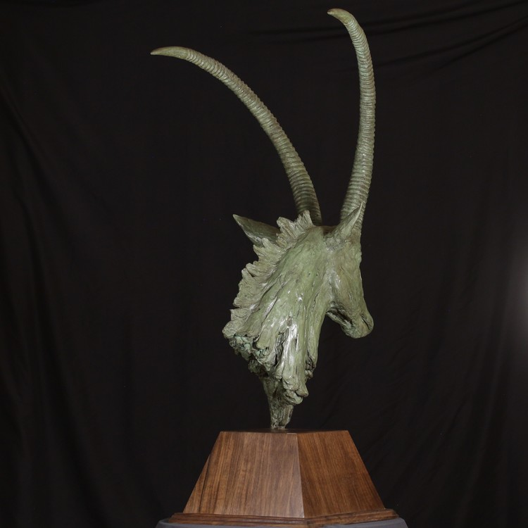 SABLE ANTELOPE BUST