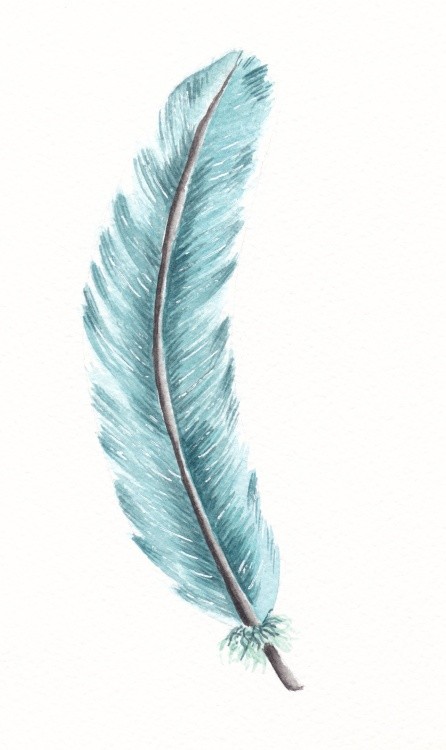 feather blue