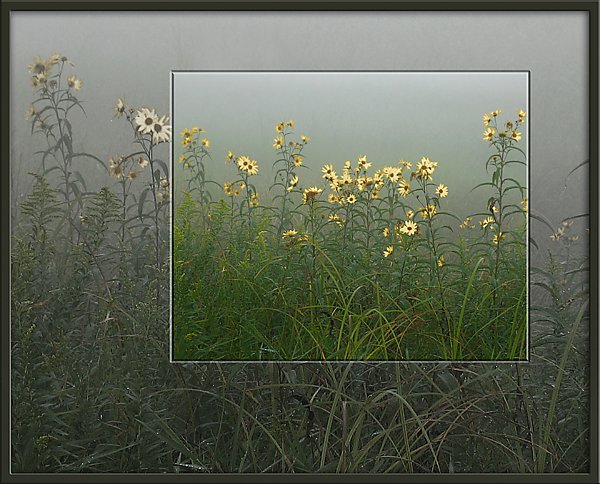 Colors In The Mist
