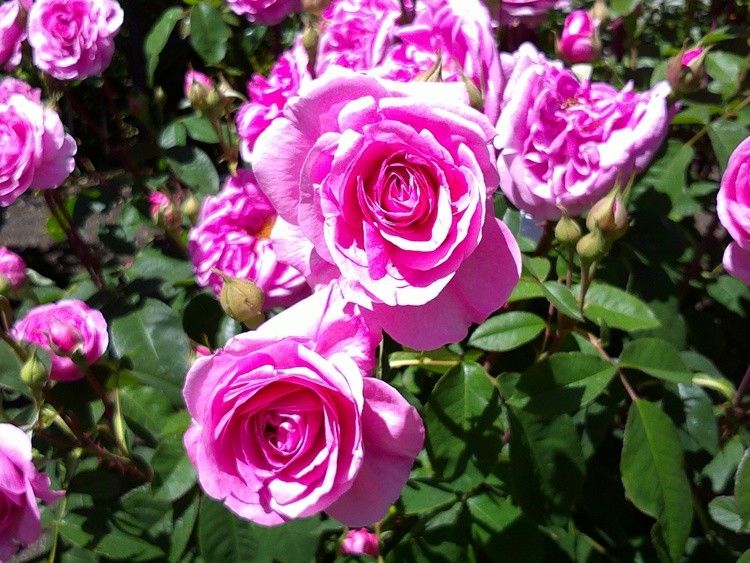 DSCF0038