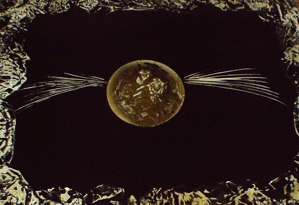 Golden Snitch 13