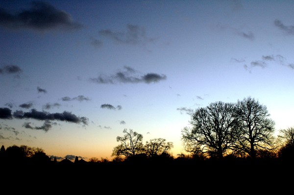 NightSkies