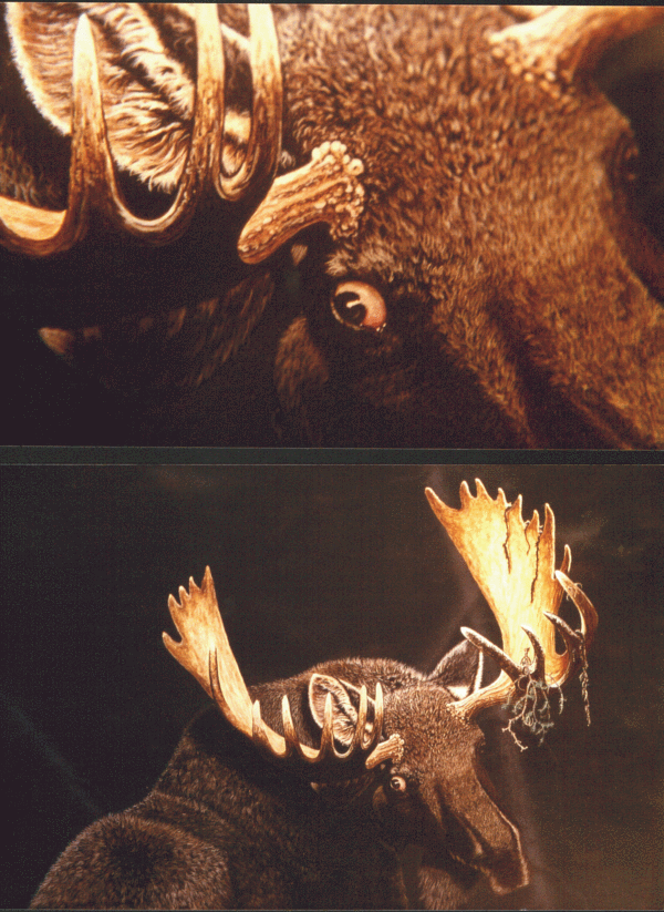 The LAST STAND detail