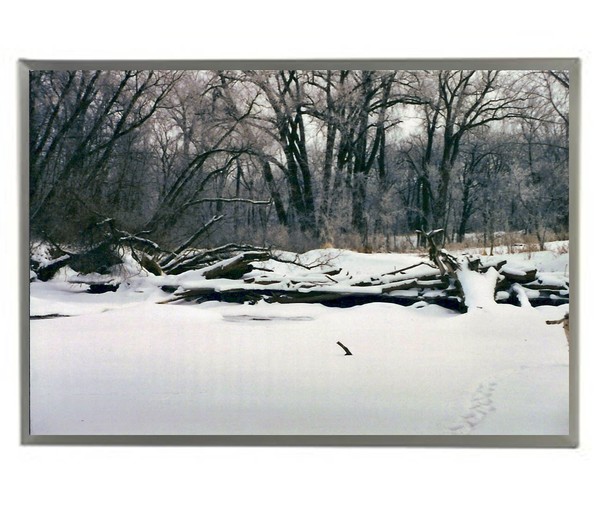 Beaverdam in the winter