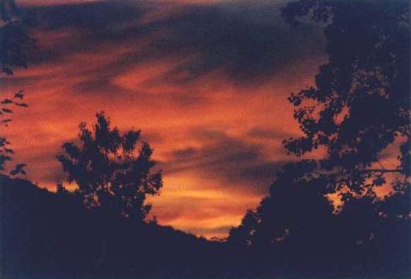 Fiery Skies