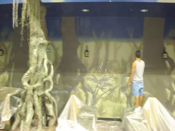 Pirate Island 