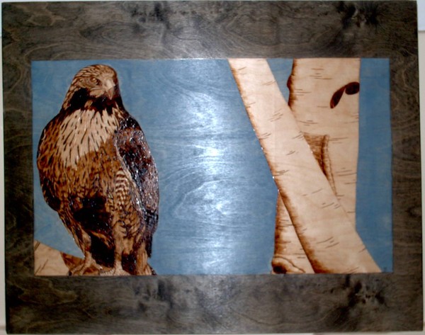 redtail hawk
