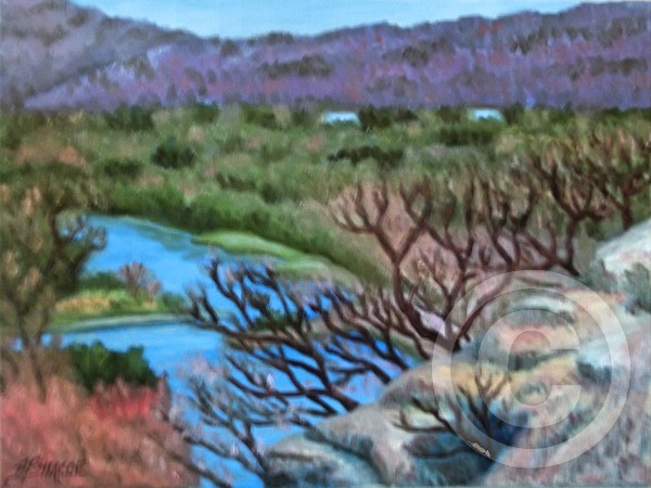 Near Kari's faavorite campsite