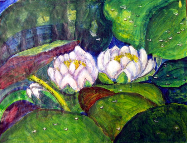 Waterlilies in Giverny, France