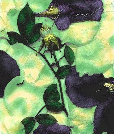 Petals