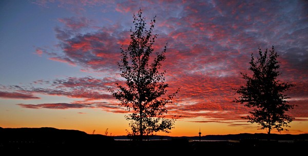 A Midsummer Evening