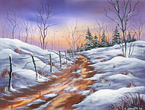 Winter Path