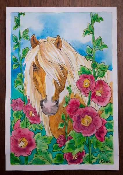 Pony