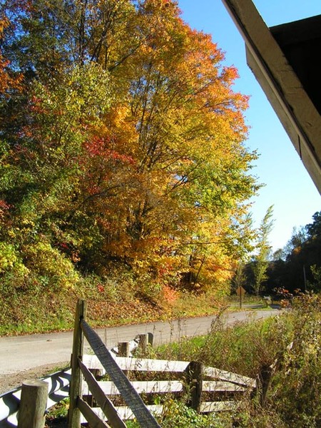View From A Covered Bridge