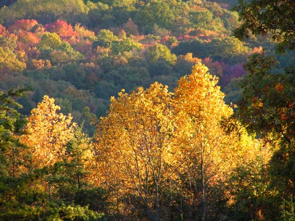 Autumn Overlook