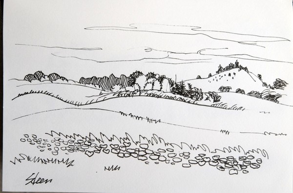 View with poppies