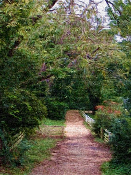 The Beckoning Path